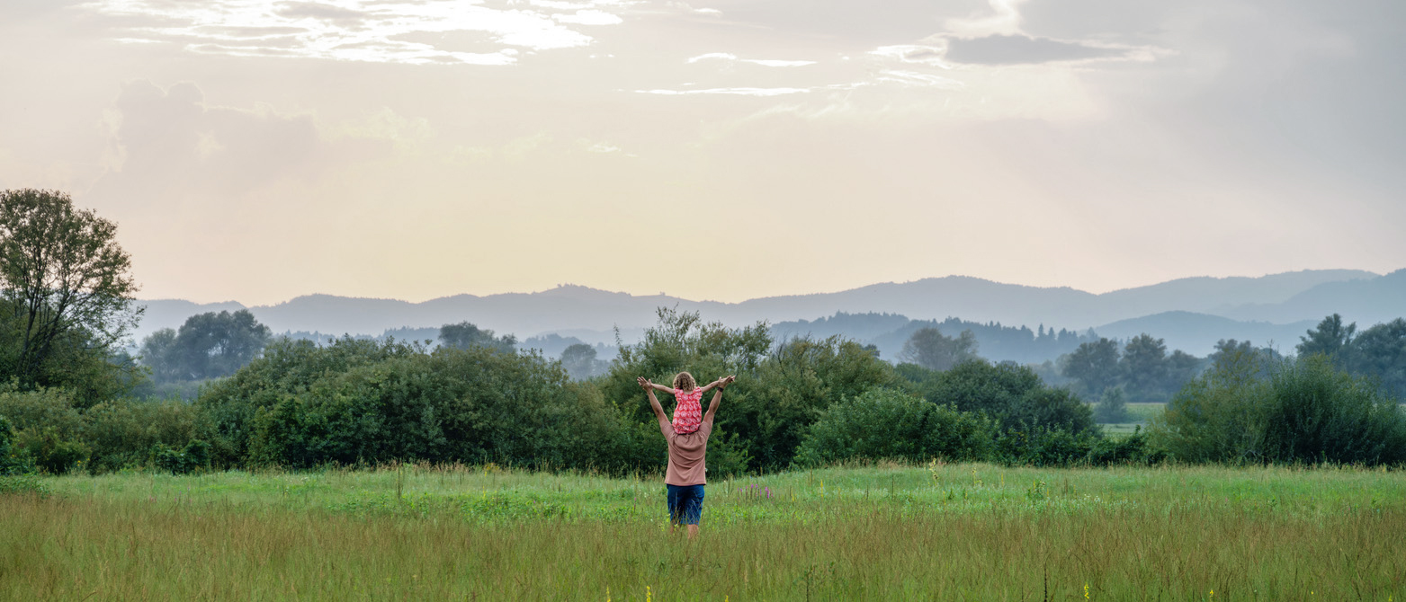 Groupe Allen, Qualium, Investissement
